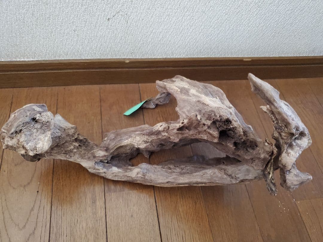 源流木　セット　571