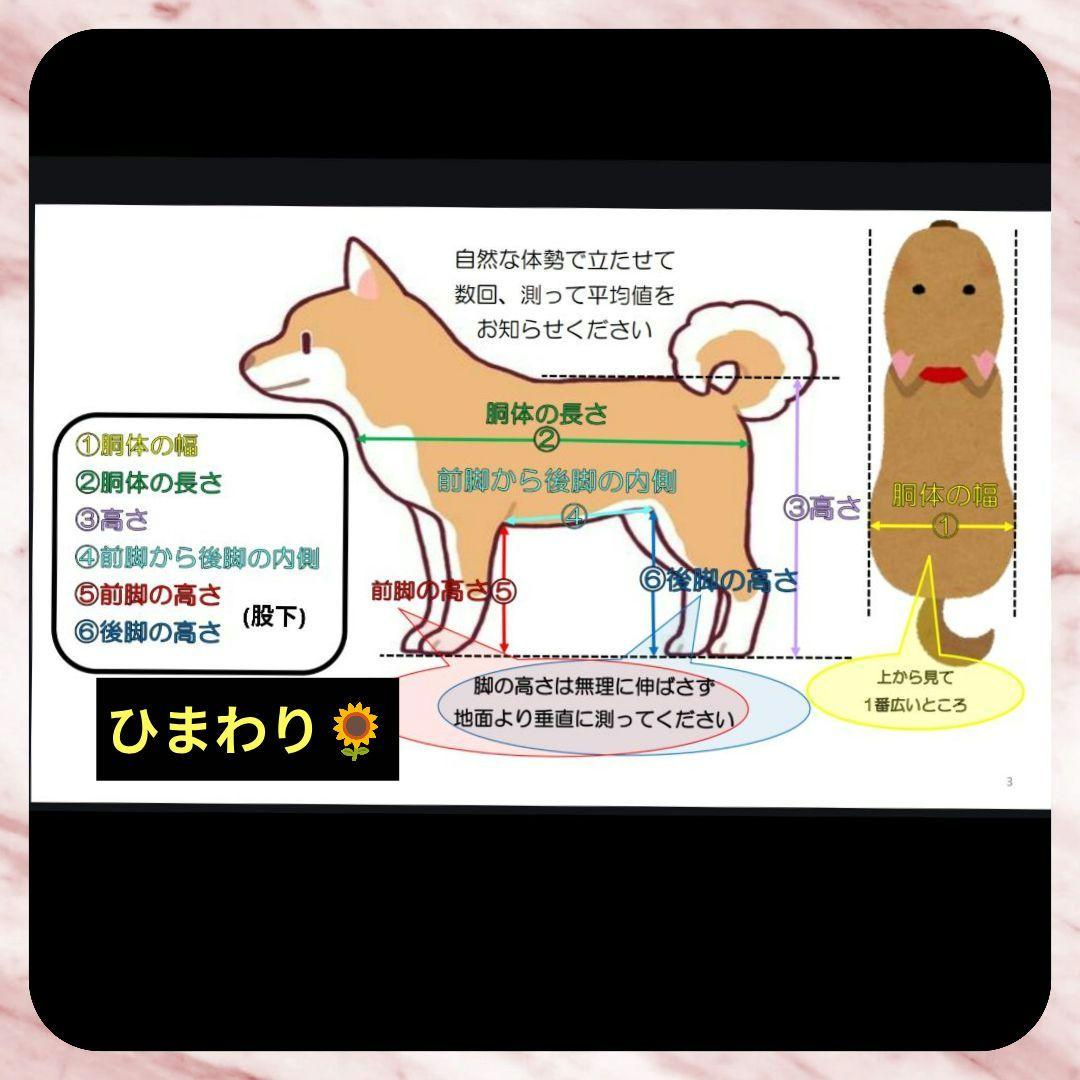 ワンちゃん4輪　リハビリ　食事補助　犬用車椅子　歩行補助　犬の歩行器