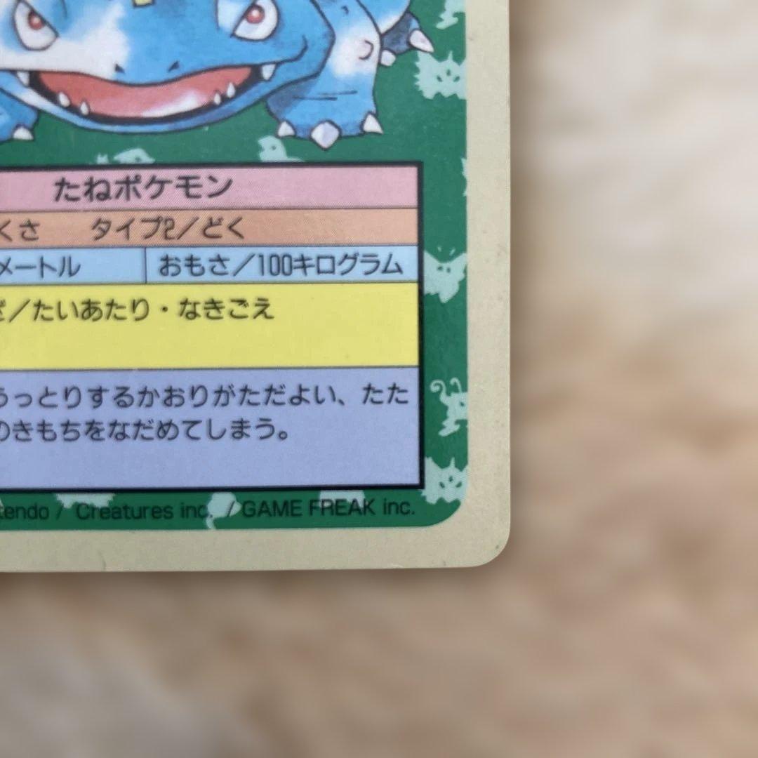 ポケモンカード　トップサン 裏青 裏緑(フシギバナ・フシギソウ)