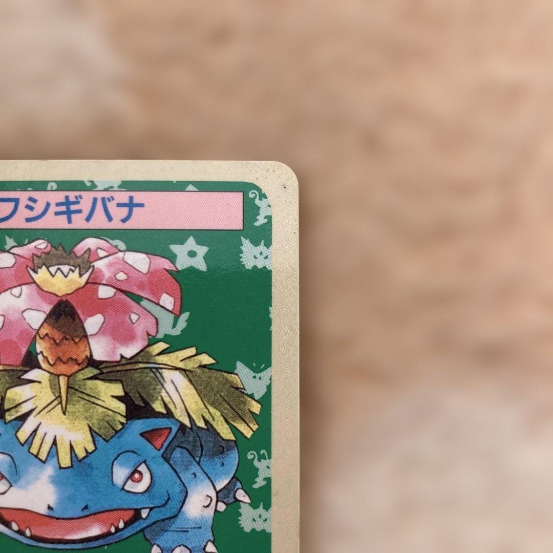 ポケモンカード　トップサン 裏青 裏緑(フシギバナ・フシギソウ)
