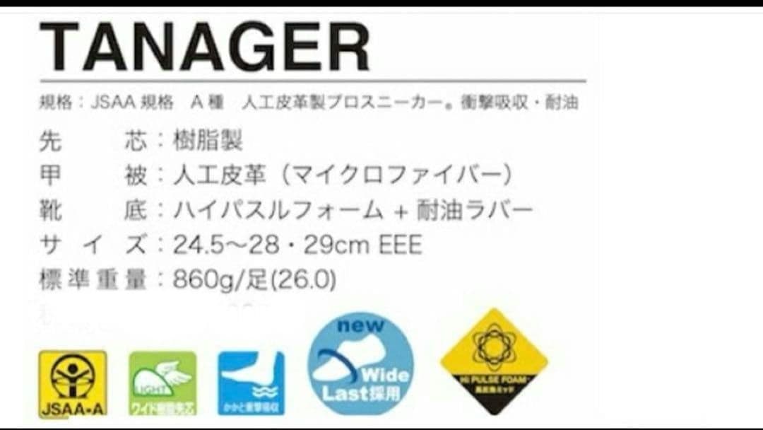 ディアドラ安全靴　タナージャ　27cm セーフティシューズ