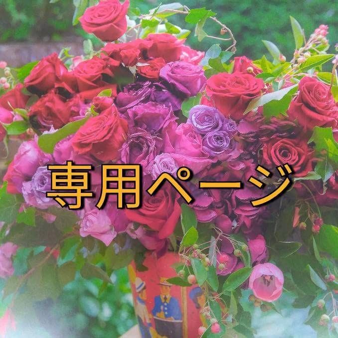 モカ（感謝）/6