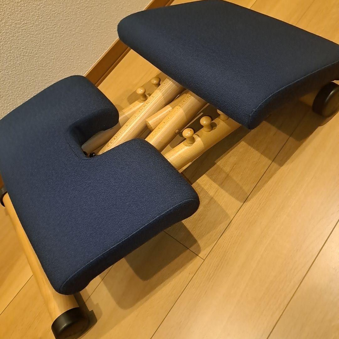 ☆極美品☆ STOKKE VARIER ストッケ ヴァリエール マルチバランス