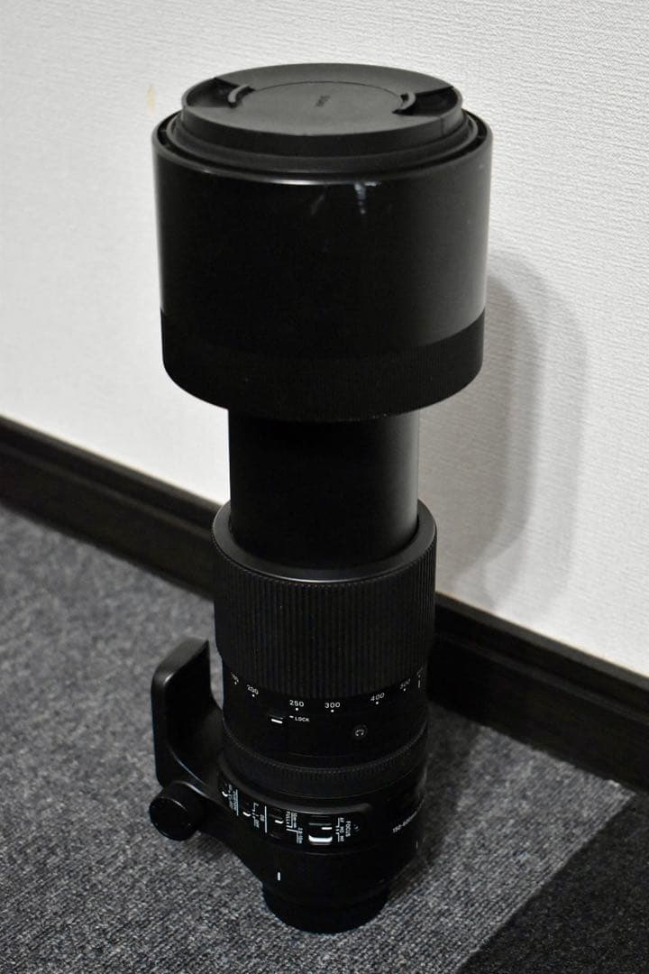 SIGMA 150-600mm F5-6.3 Nikon F-FXマウント