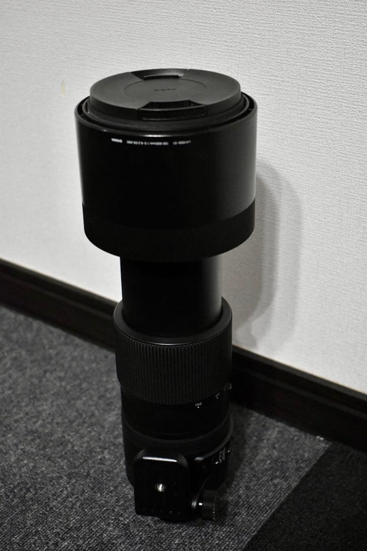 SIGMA 150-600mm F5-6.3 Nikon F-FXマウント