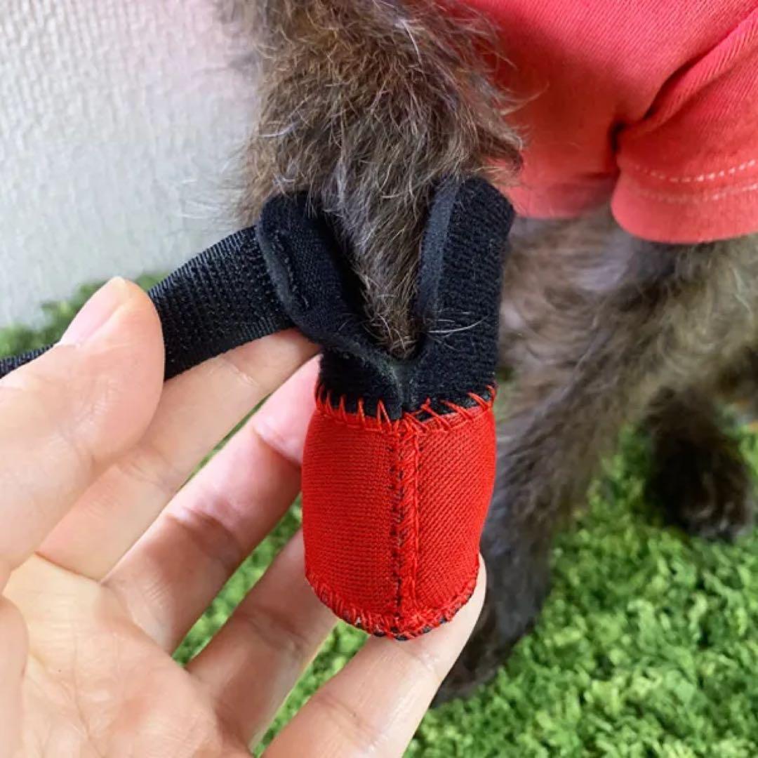 WANDAWAY 小型犬用ドッグシューズ レッド