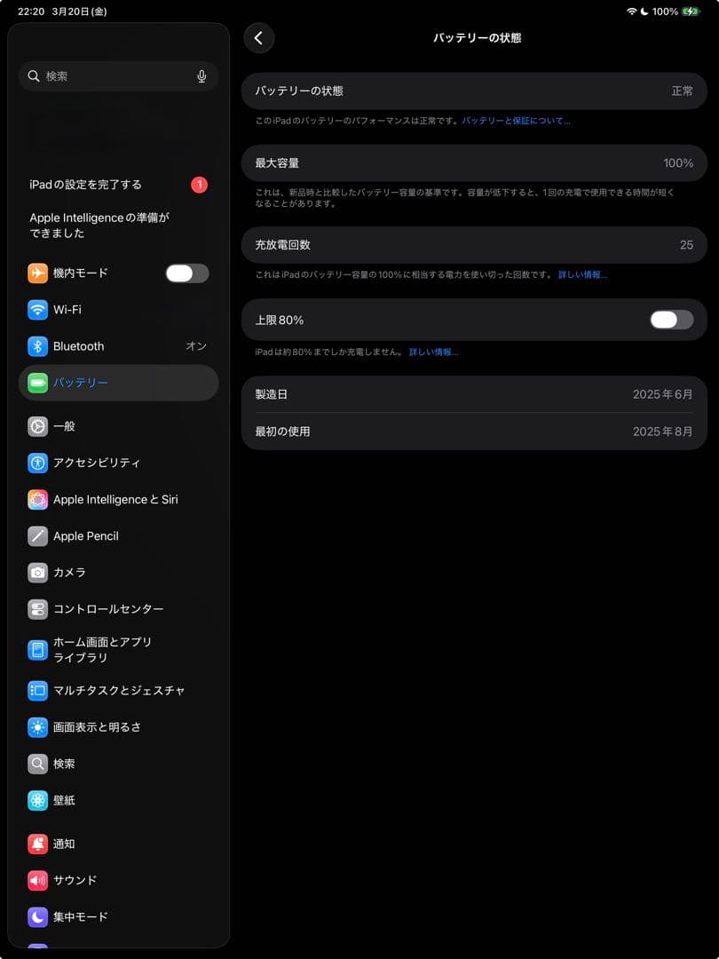 M4 iPad Pro 13インチ スペースグレー 256GB本体