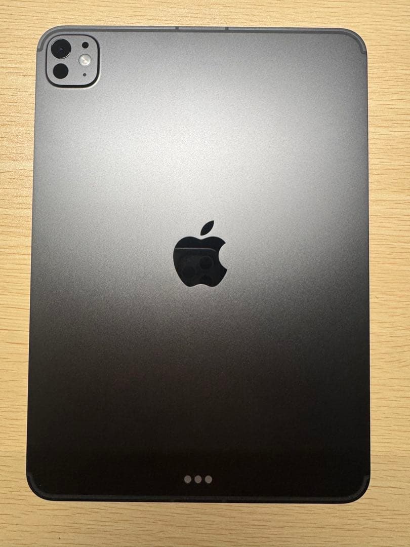 iPad Pro m5 11インチ 256GB Wi-Fi + Cellular