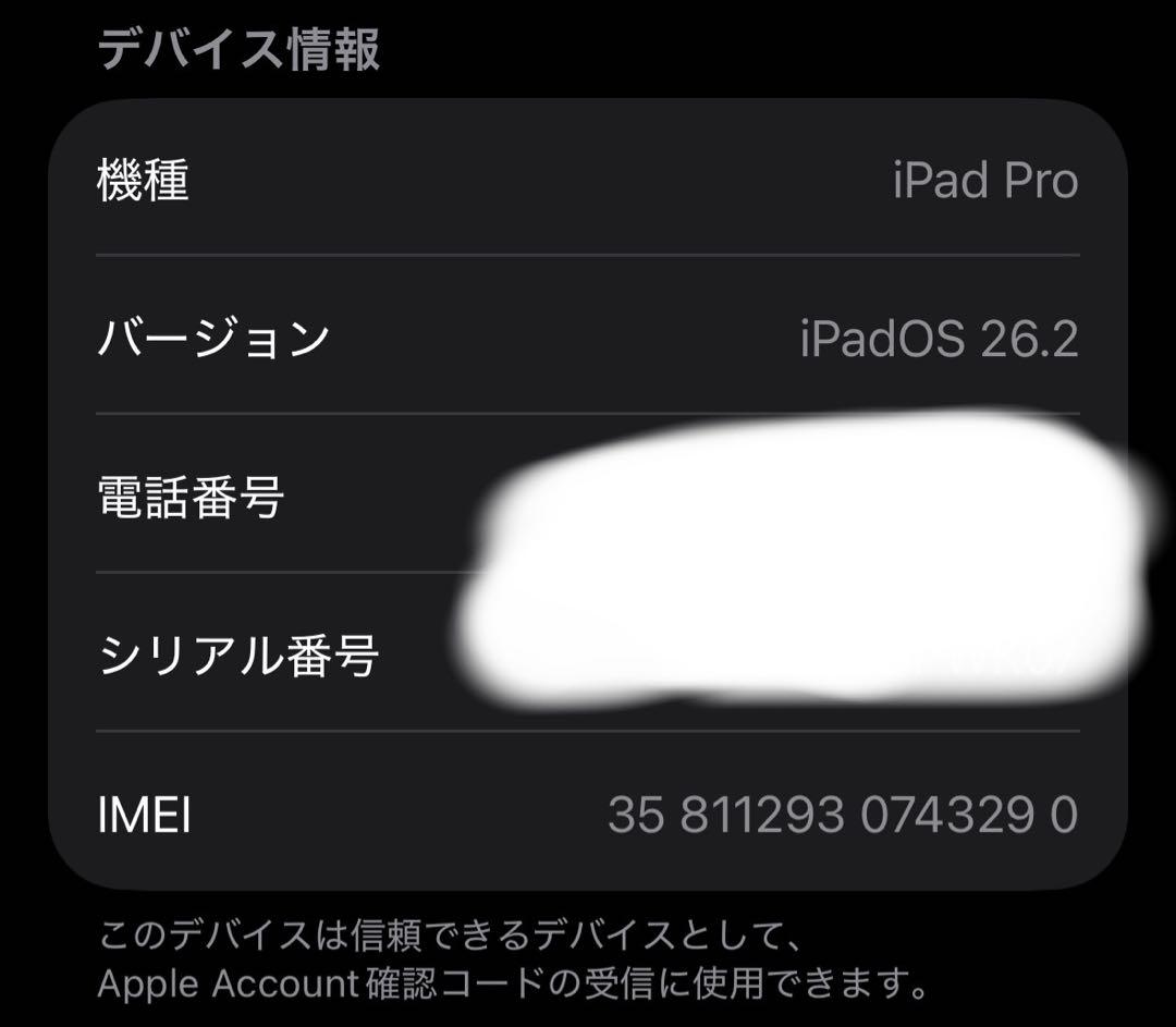 iPad Pro m5 11インチ 256GB Wi-Fi + Cellular