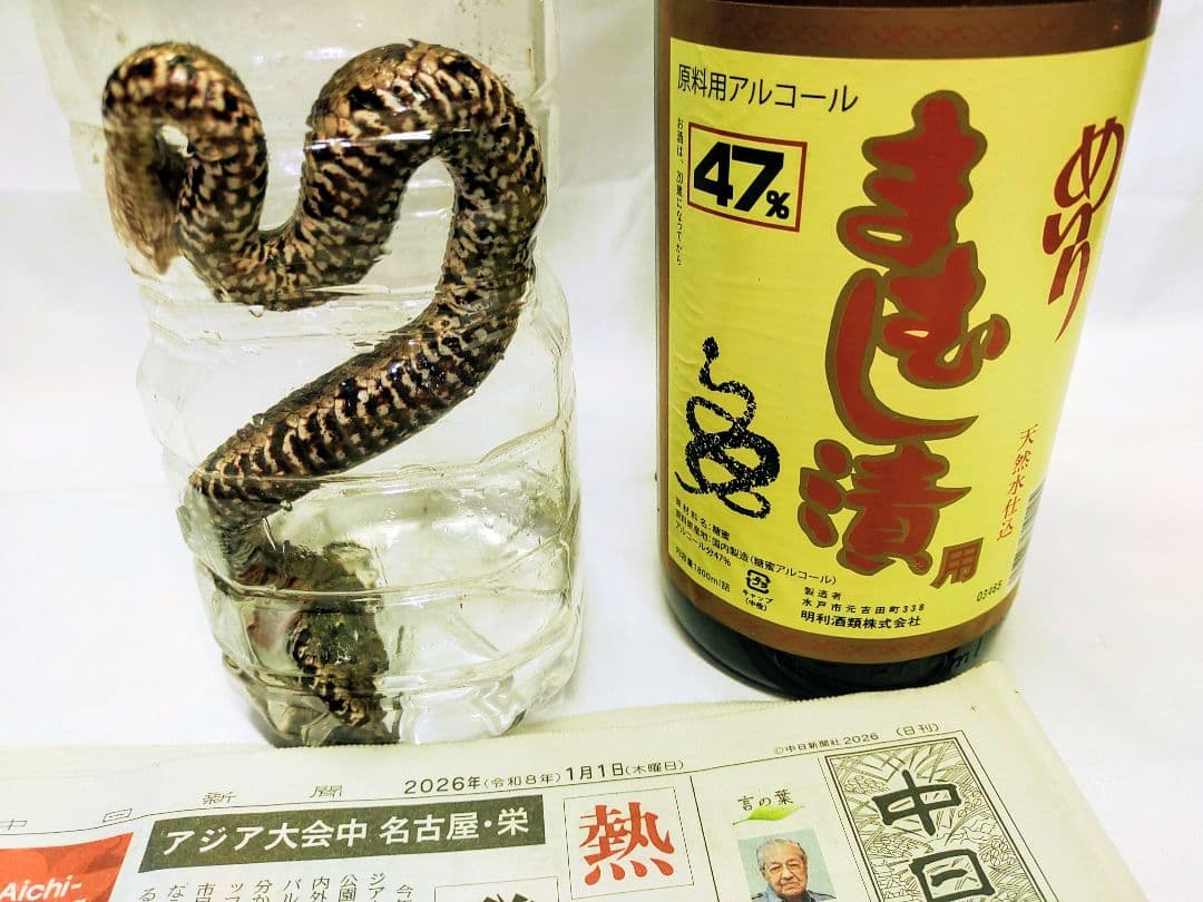 まむし酒、令和8年1月作、マムシ焼酎