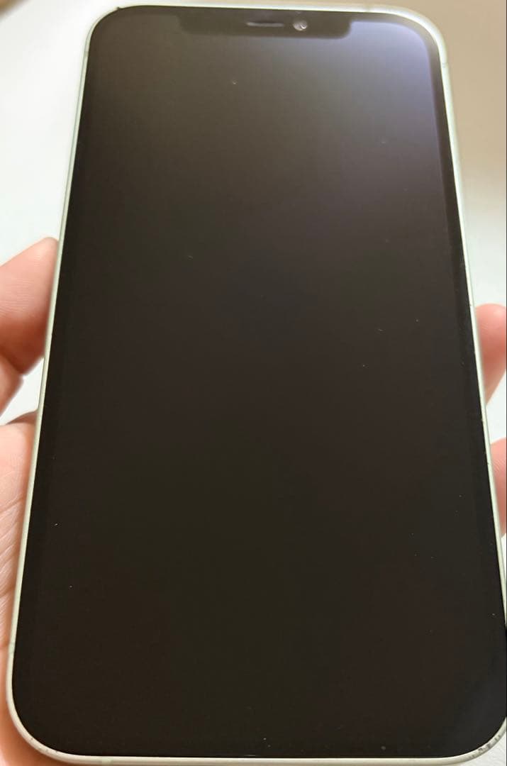 SIMフリー iPhone 12 256GB