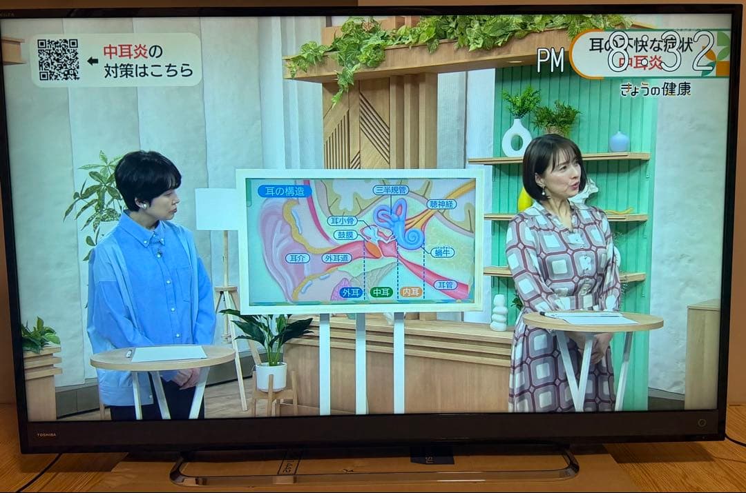 美品東芝50M500X 50型2016年製⭕️地上 BS/CS動画可4k液晶テレビ