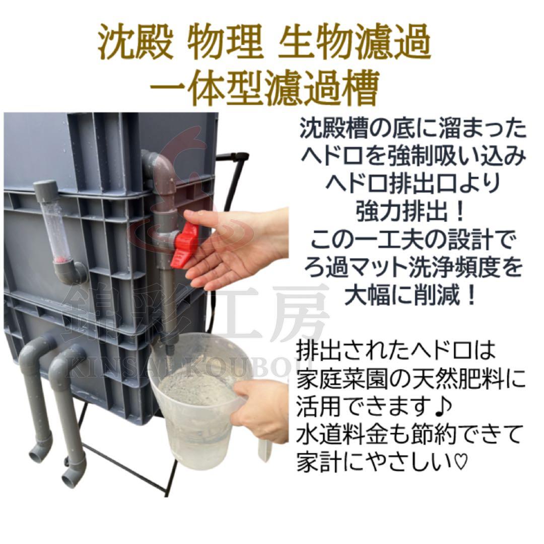 沈殿物理生物濾過一体型濾過槽 すぐに使えるフルセット ポンプ ろ材 ろ過マット