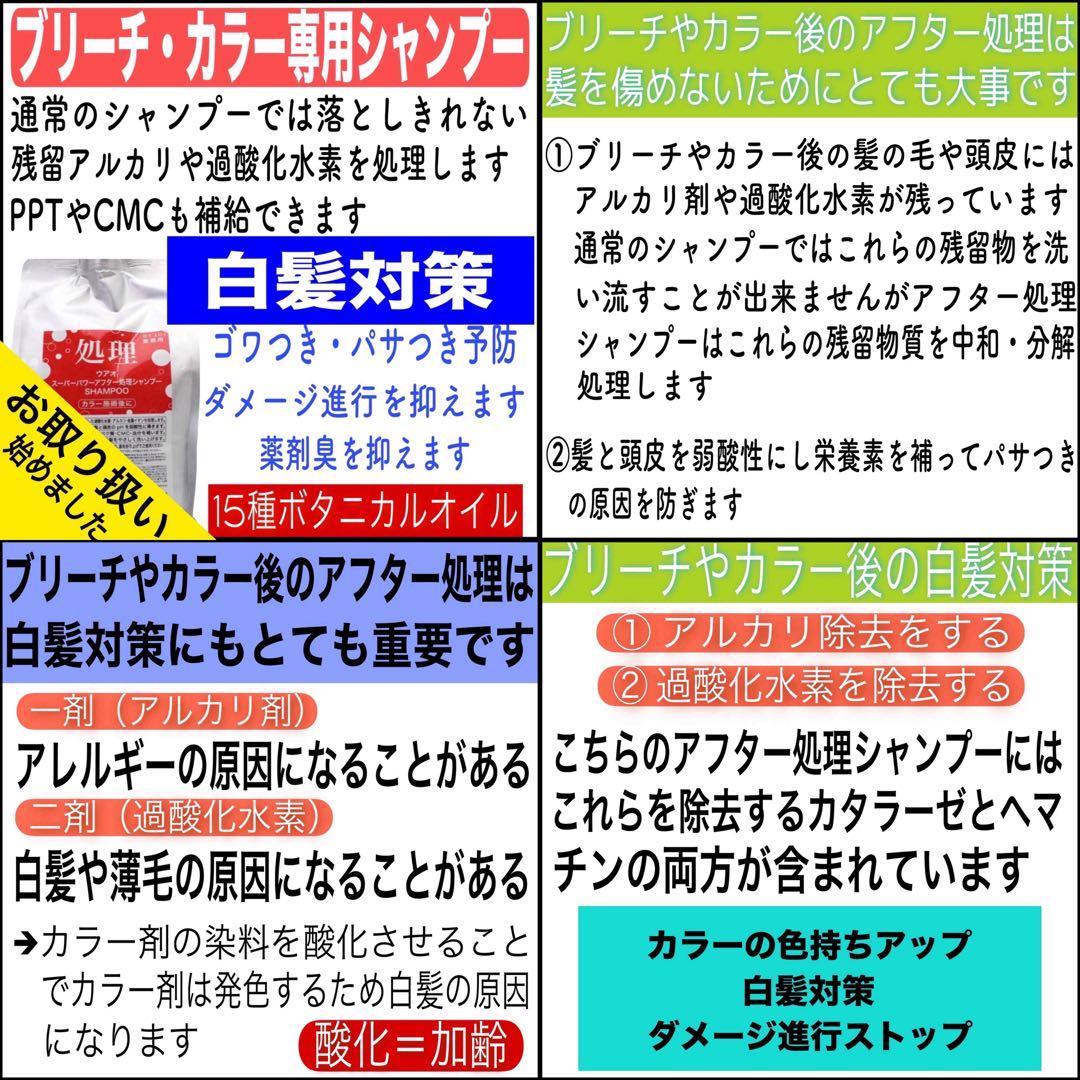 資生堂 アルティスト⑪グレージュとシャンプー 茶【ブリーチとセット合計5%割引①