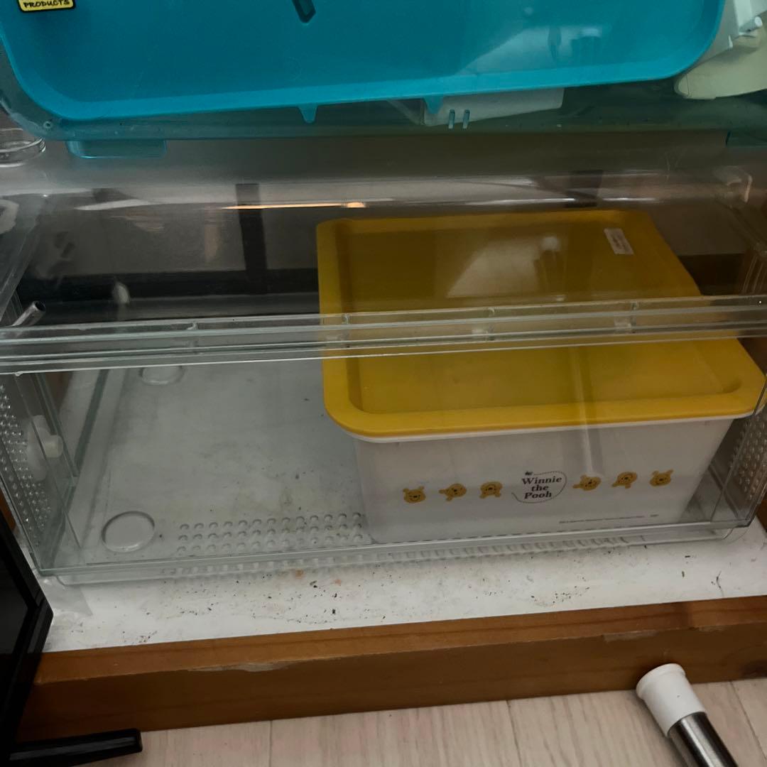 ハムスターセット