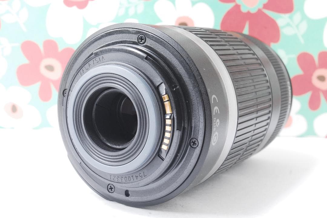 ❤Canon EF-S 55-250mm F4-5.6 IS❤手振れ補正❤望遠❤