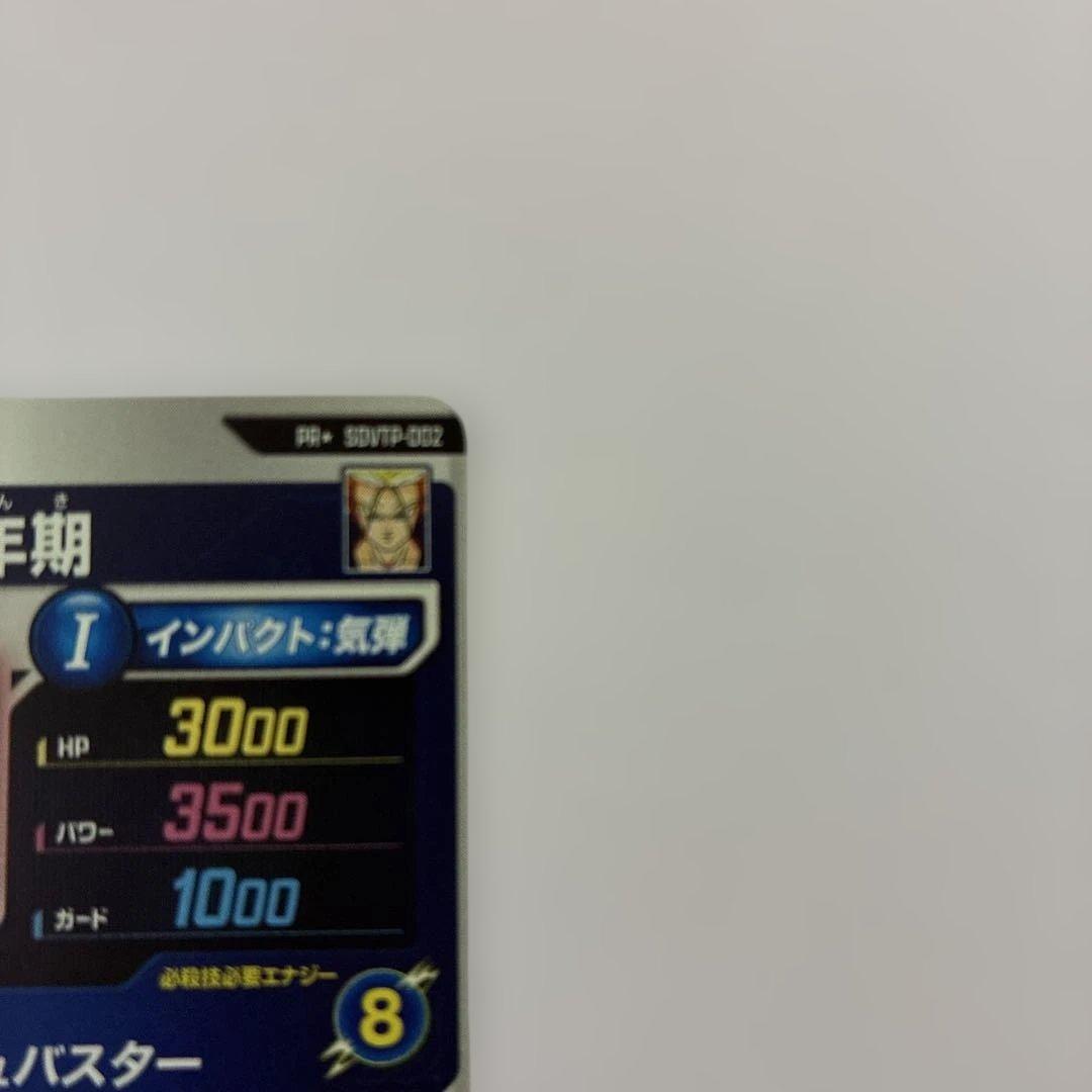 SDVTP-002　トランクス　パラレル