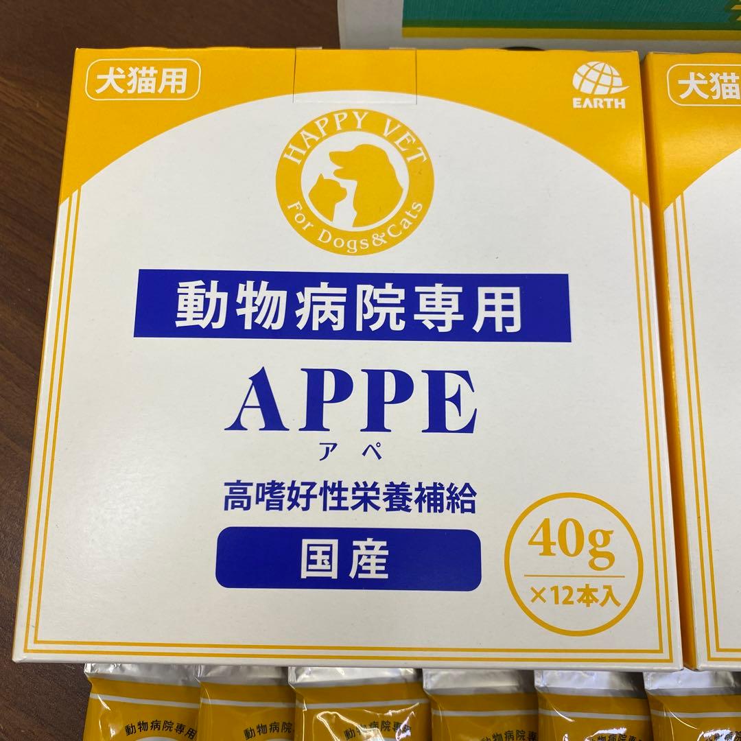 動物病院専用 APPE 高嗜好性栄養補給 40g×12本入　2箱＋10袋