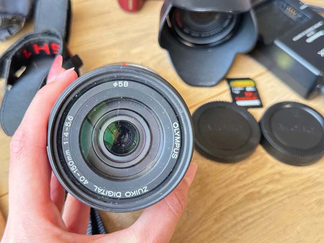 LUMIX GH1 カメラ