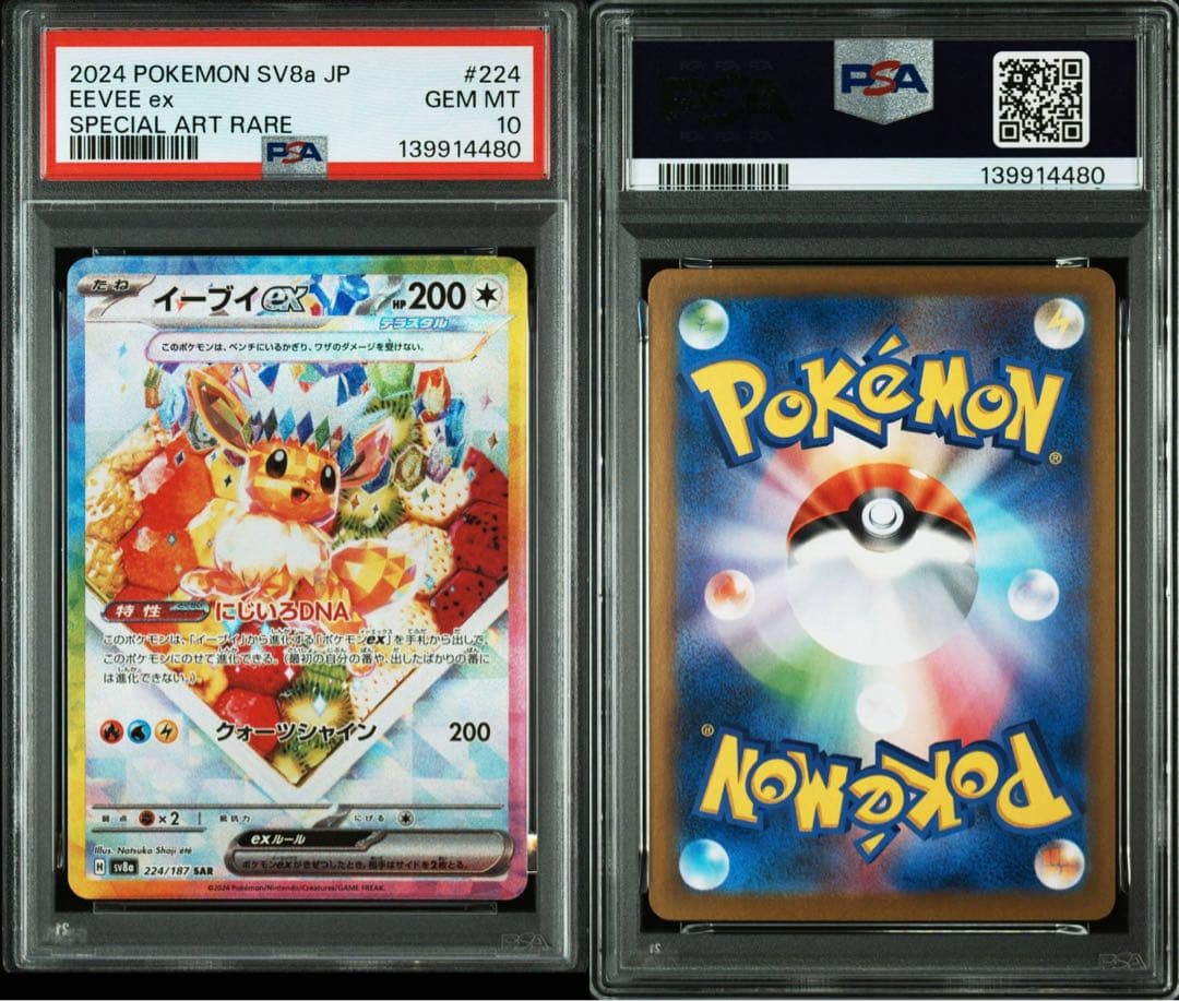 テラスタルフェス ブイズPSA10 コンプリート連番