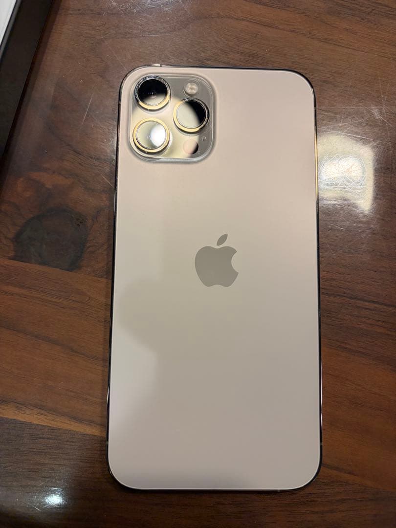 Apple iPhone 12 Promaxシルバー本体　TORRASケース付き