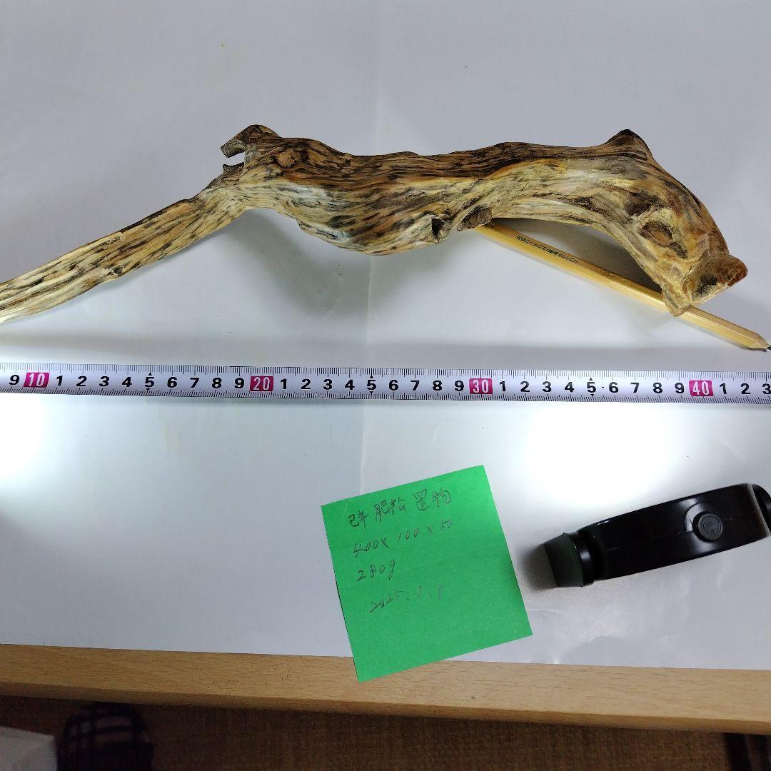 巳年縁起物肥松置物 約40cm