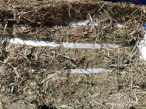 カナダ産チモシー2番刈りロープレミアム　約30キロ