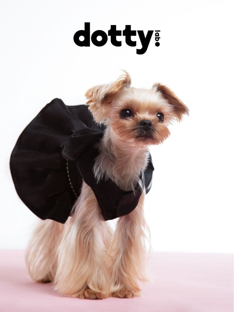 dotty lab. オリジナル超大リボン付きドレス 春夏用ペット服 中小型犬用