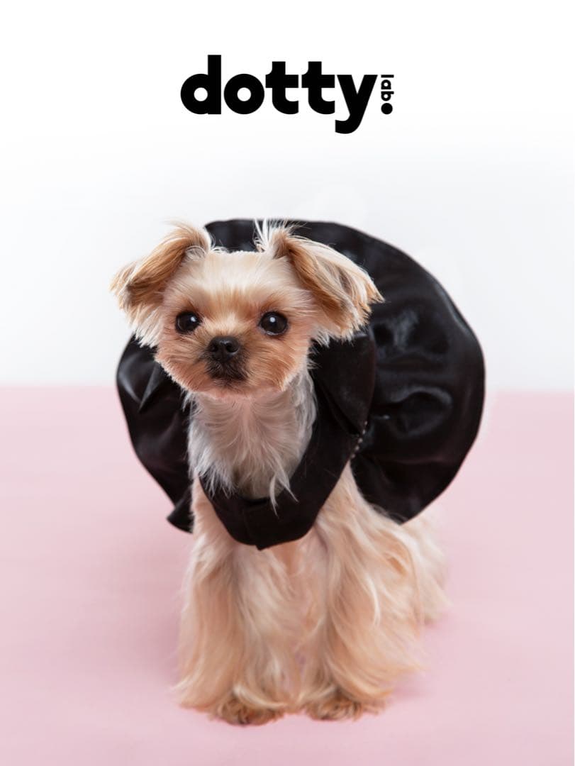 dotty lab. オリジナル超大リボン付きドレス 春夏用ペット服 中小型犬用