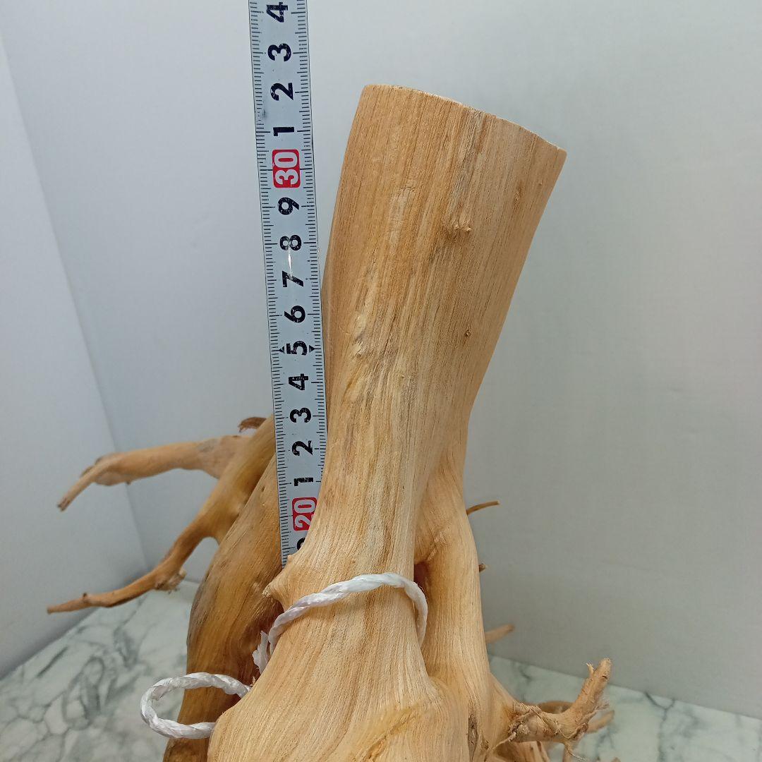 アク抜き済み流木【828】最終セール