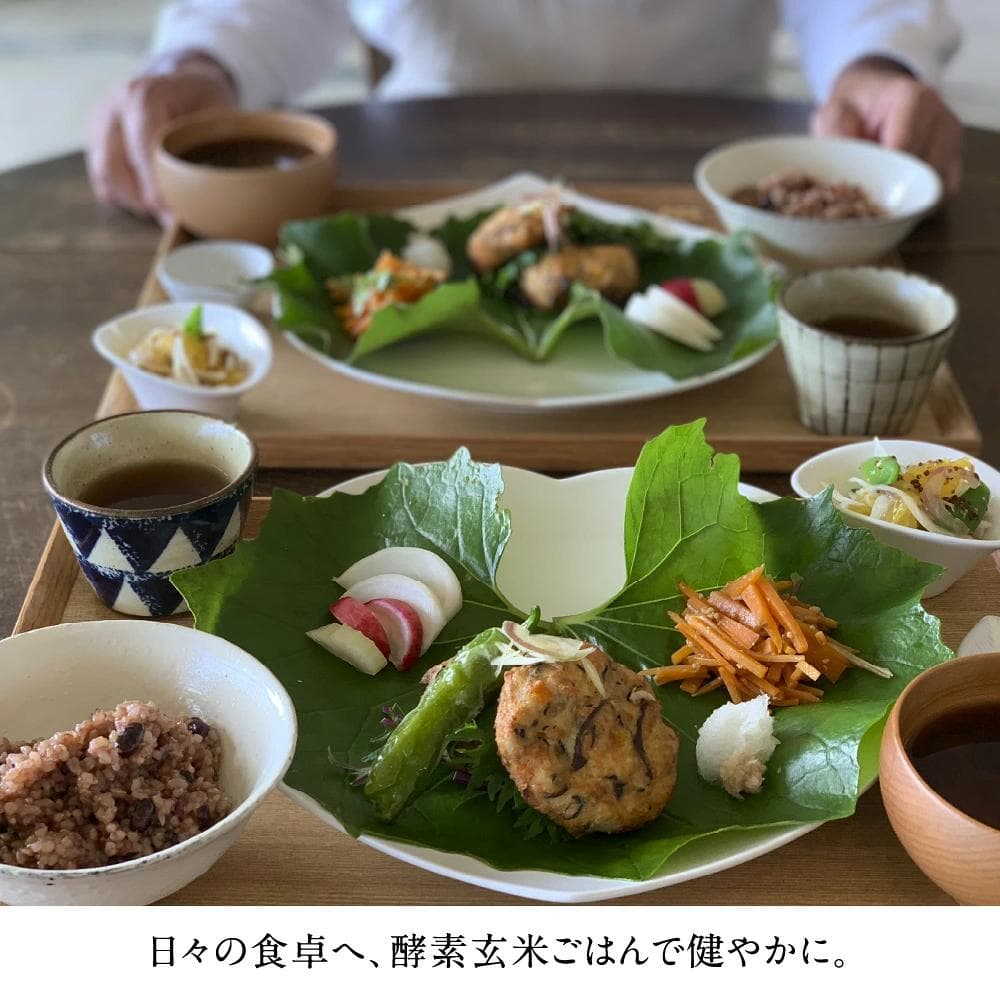 酵素玄米炊飯器MM03JP 4合炊きタイプ 酵素玄米Labo