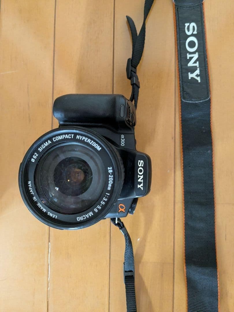 ソニー SONY α300 + SIGMA 28-200mm 高倍率ズームレンズ