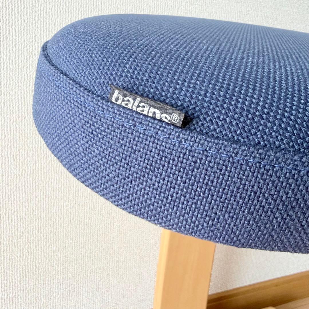 【最新型未使用級】Rybo リボ社 バランスイージー サカモトハウス ネイビー