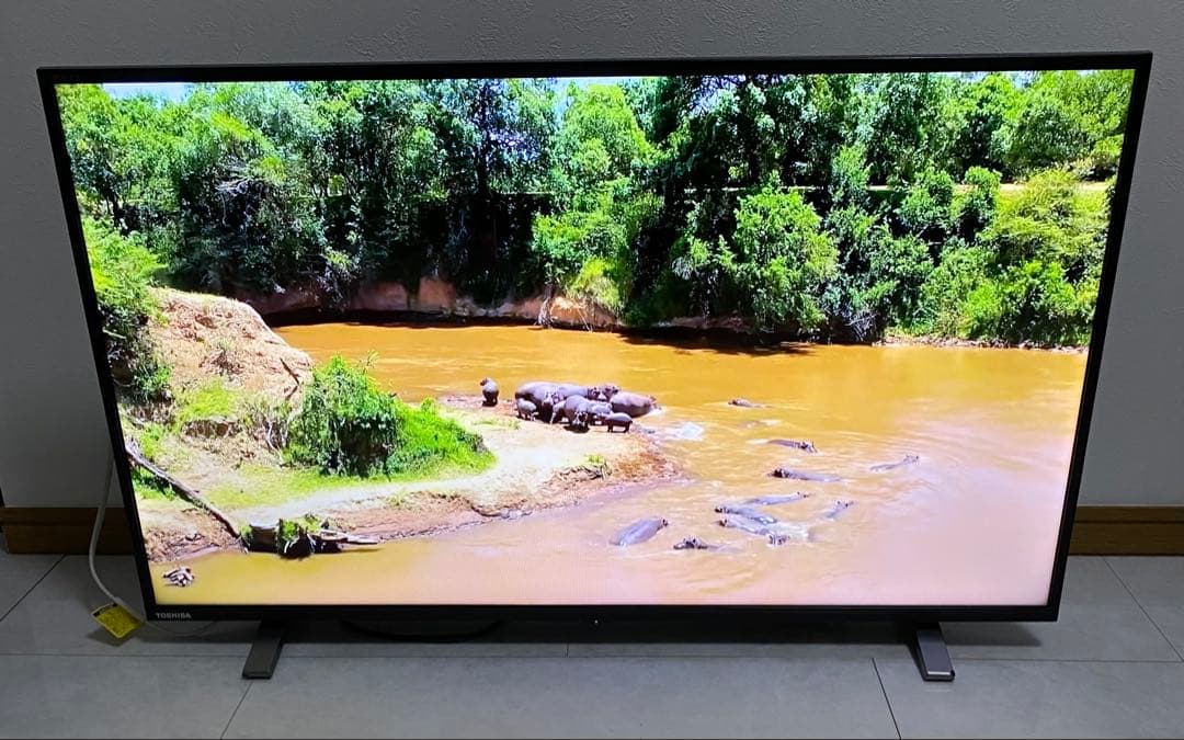 送料込　東芝 レグザ 40V型 液晶テレビ 40V34 動画アプリ　2023年
