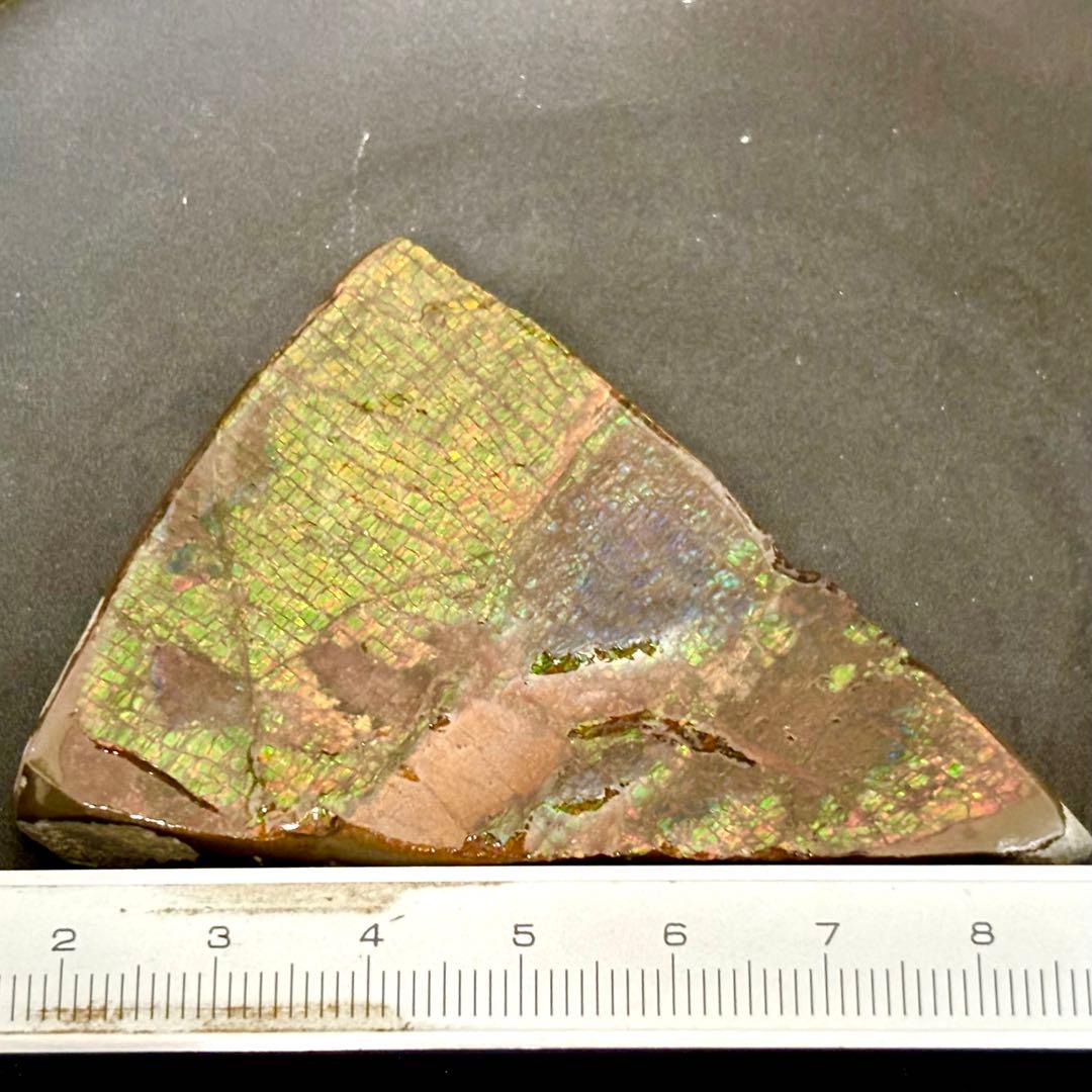 カナダ産 アンモライト ドラゴンスキン 樹脂スタビライズ加工 天然宝石 化石