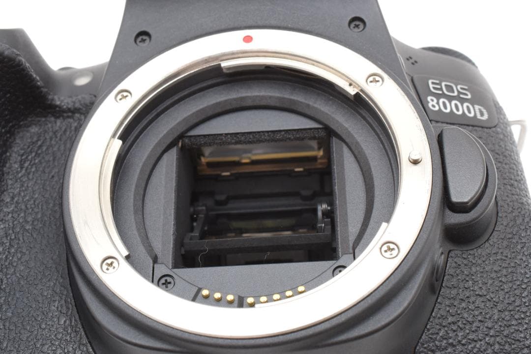 Canon EOS 8000D 元箱付 標準キット 初心者 スマホ転送 旅行