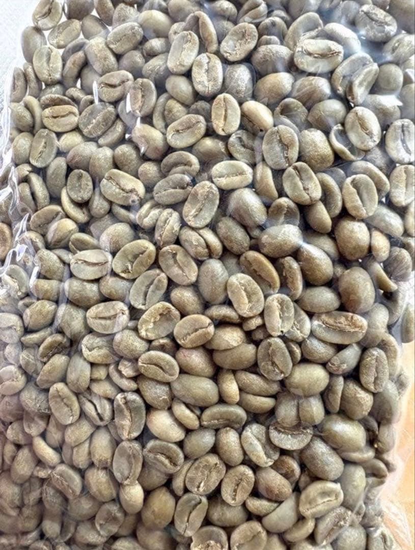 希少！ジャコウネココーヒー生豆 1kg コピルアク
