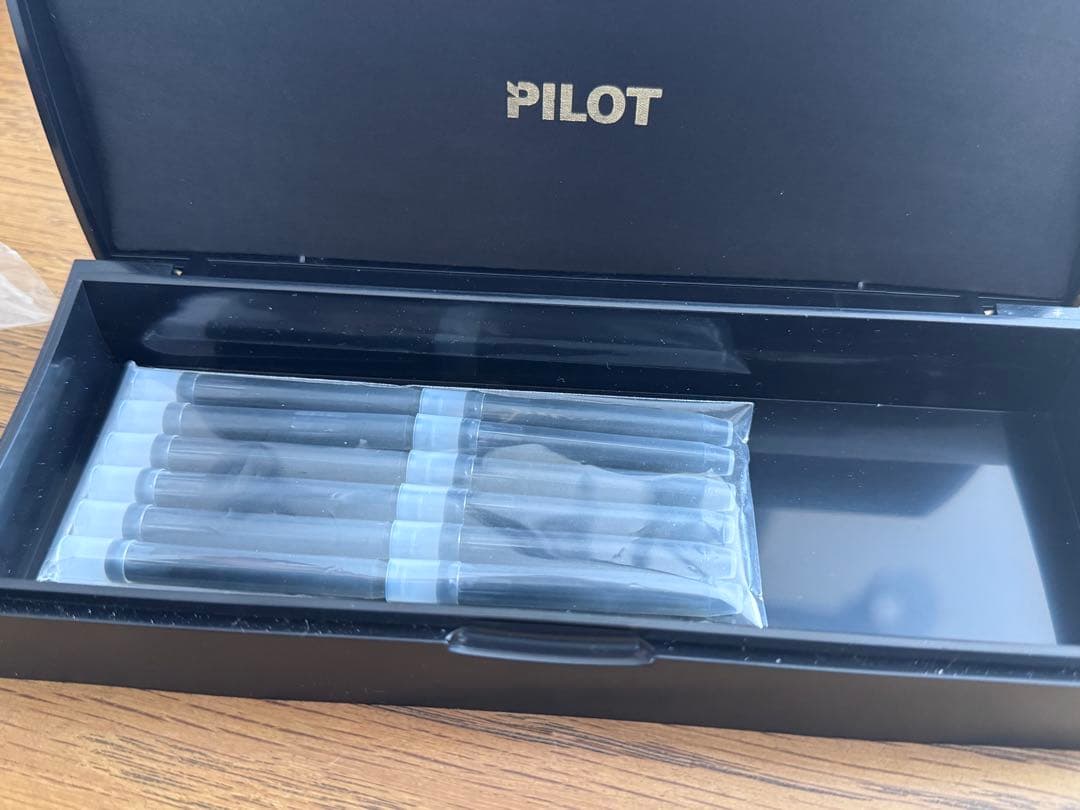 飴*ん様 PILOT 万年筆CUSTOM 74