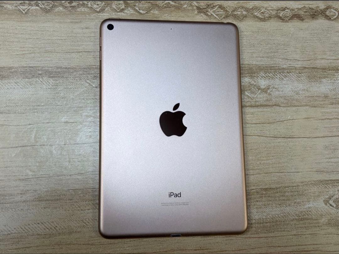 iPad mini (第5世代) Wi-Fiモデル 256GB