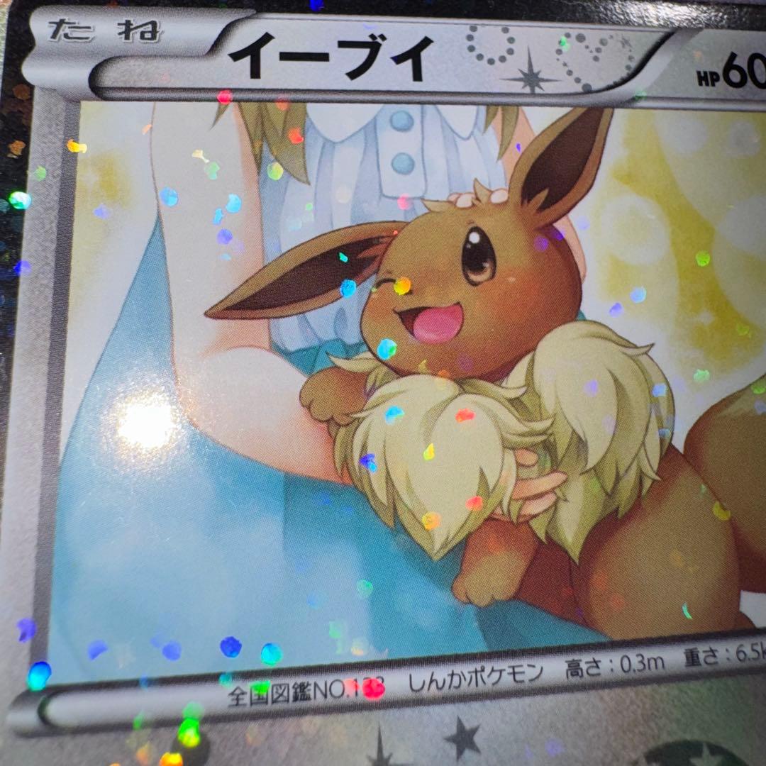 ポケモンカード　イーブイ　sc 014/020 引退品　dp bw 旧裏　xy