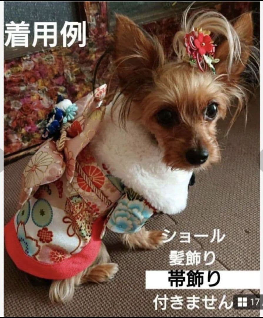 ONEKOSAMA OINUSAMA　犬着物　犬浴衣　お花見　誕生日　撮影会　③