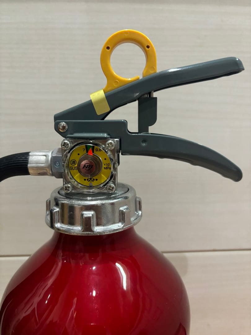 ももみかん ！2本セット！2033年まで使用可！モリタ宮田　消火器