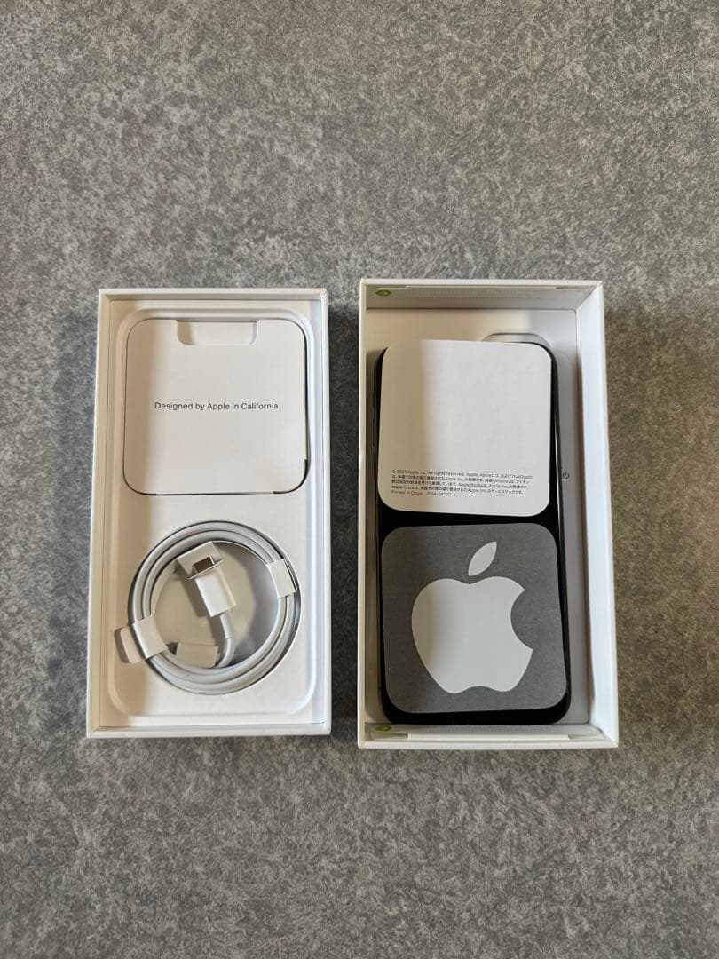 Apple iPhone XS ゴールド 本体 64GB 画面線あり