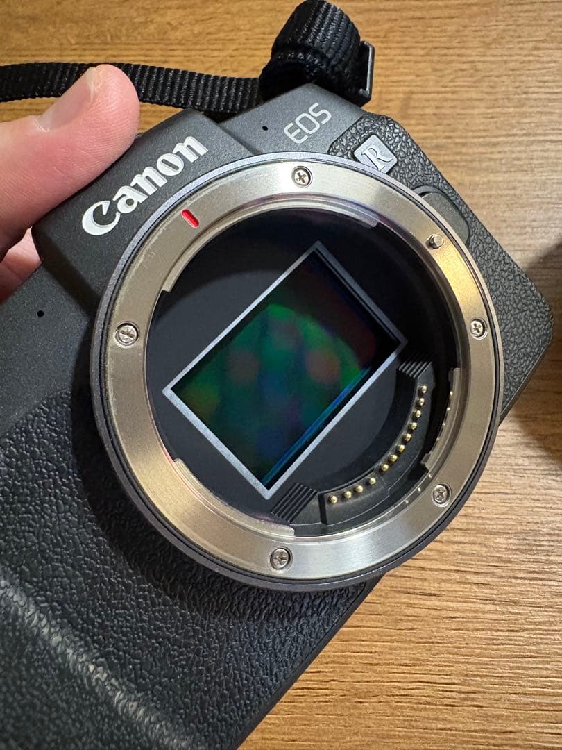 【期間限定値下げ】EOS RP RF35 MACRO IS STM レンズキット