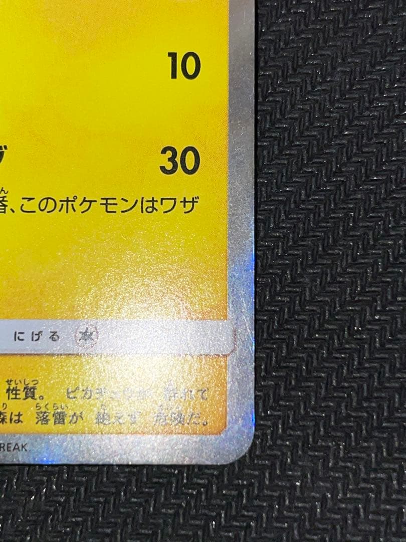 【専用】海で遊ぶピカチュウ：ポケモンセンター真夏のピカピカ大作戦キャンペーン…