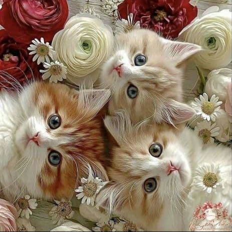 オーダー用猫ちゃんパネルサンプルページ 四