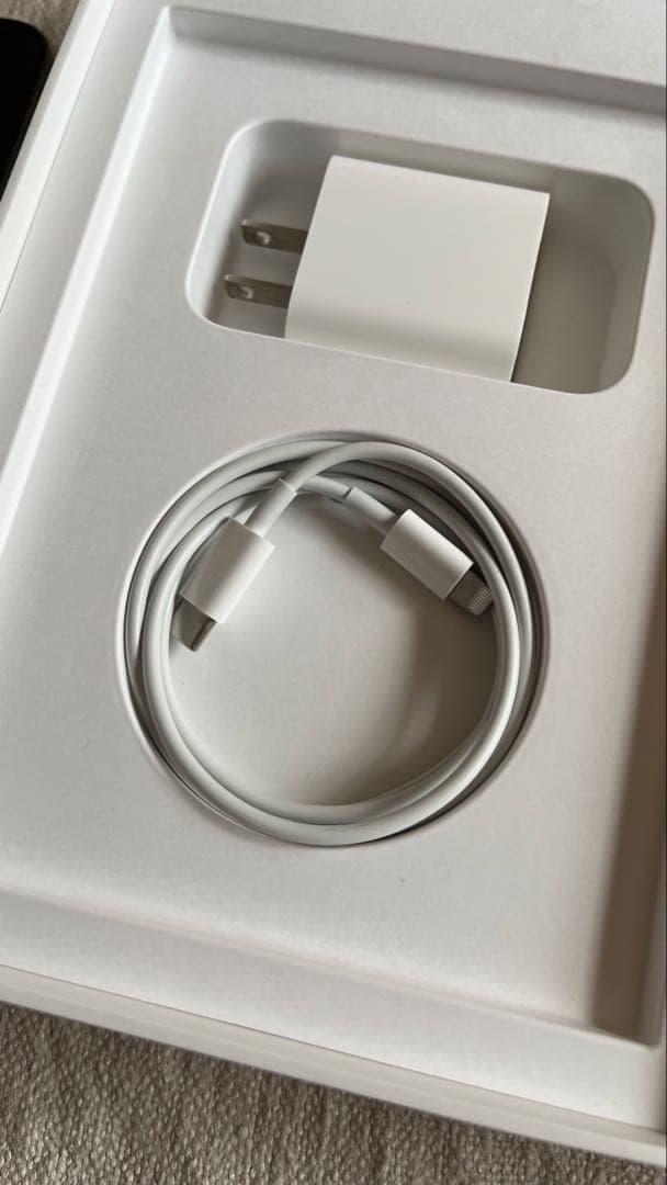 期間限定価格iPad mini 6 64GB ペンシル／ケース付き