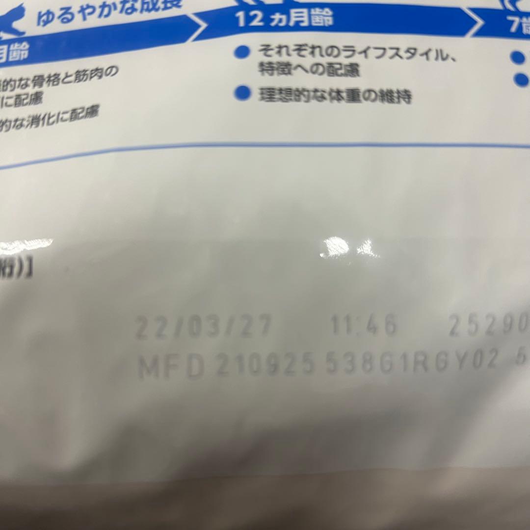 b*i様 室内で生活する成猫用　インドア 4kg 2袋 合計8kg