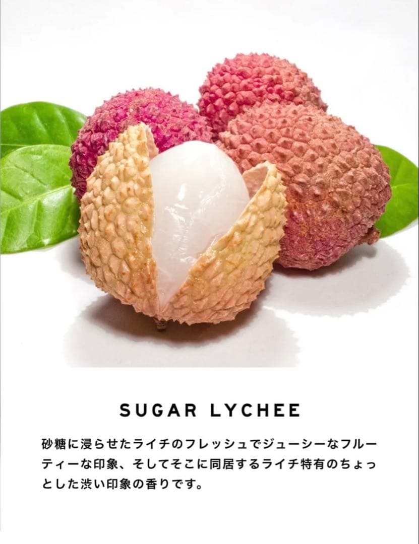 新品未使用 【SHOLAYERED 】ノンアルコールパフューム SL