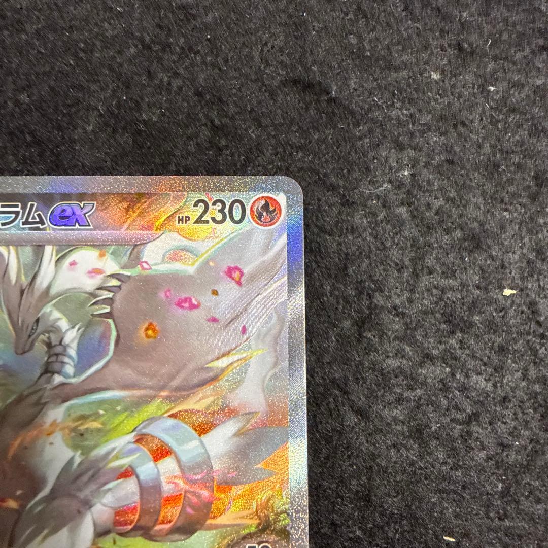 早い者勝ち！　ポケモンカード　レシラムex sar ホワイトフレア